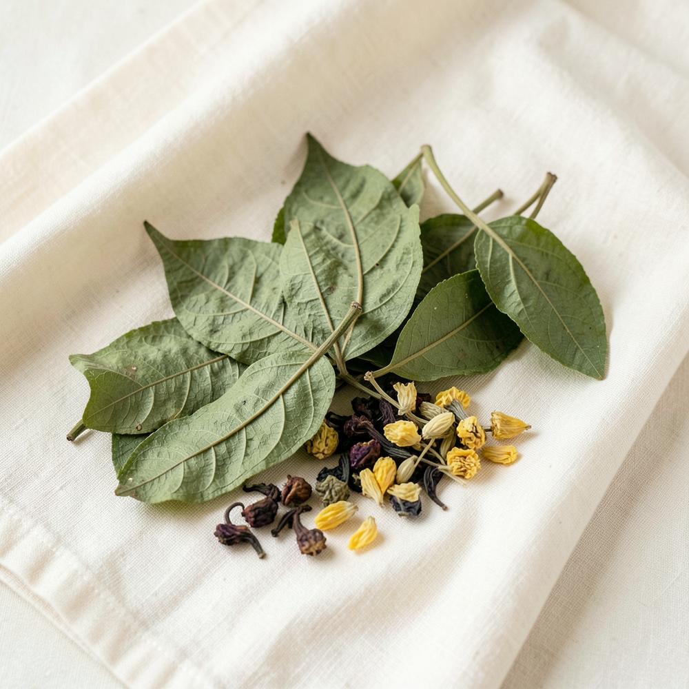 Dried Indian botanical leaves and flowers on ivory linen